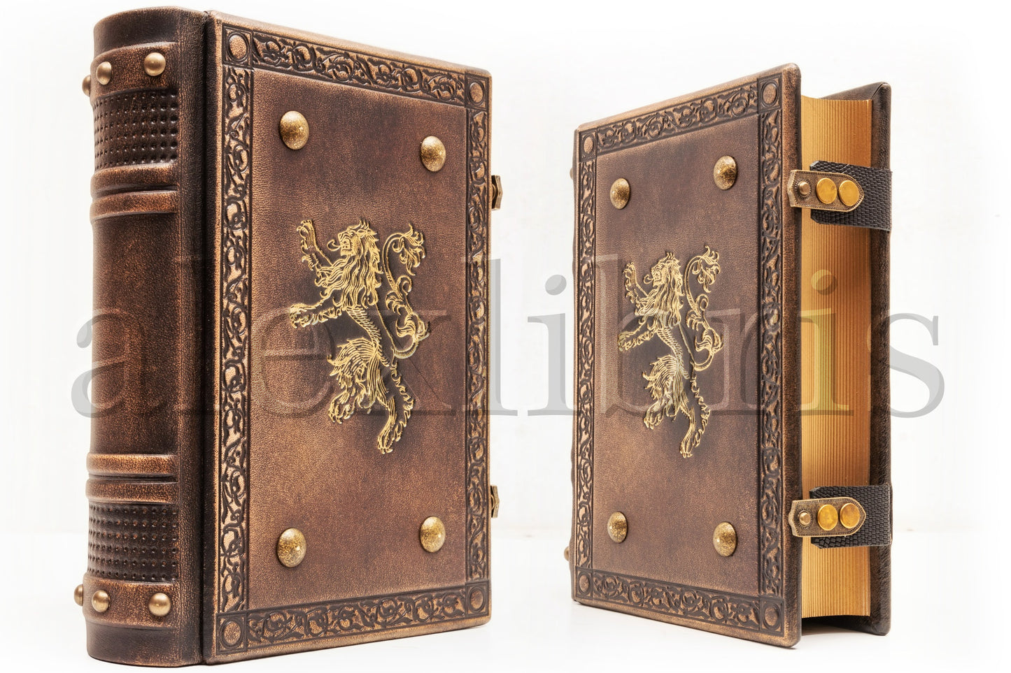 Lions Leather Journal: Large 7.5 x 10 Inches, 600 Blank Pages - Embark on a Royal Journey with this Heraldic Book, Perfect for Artists and Enthusiasts of Medieval Culture