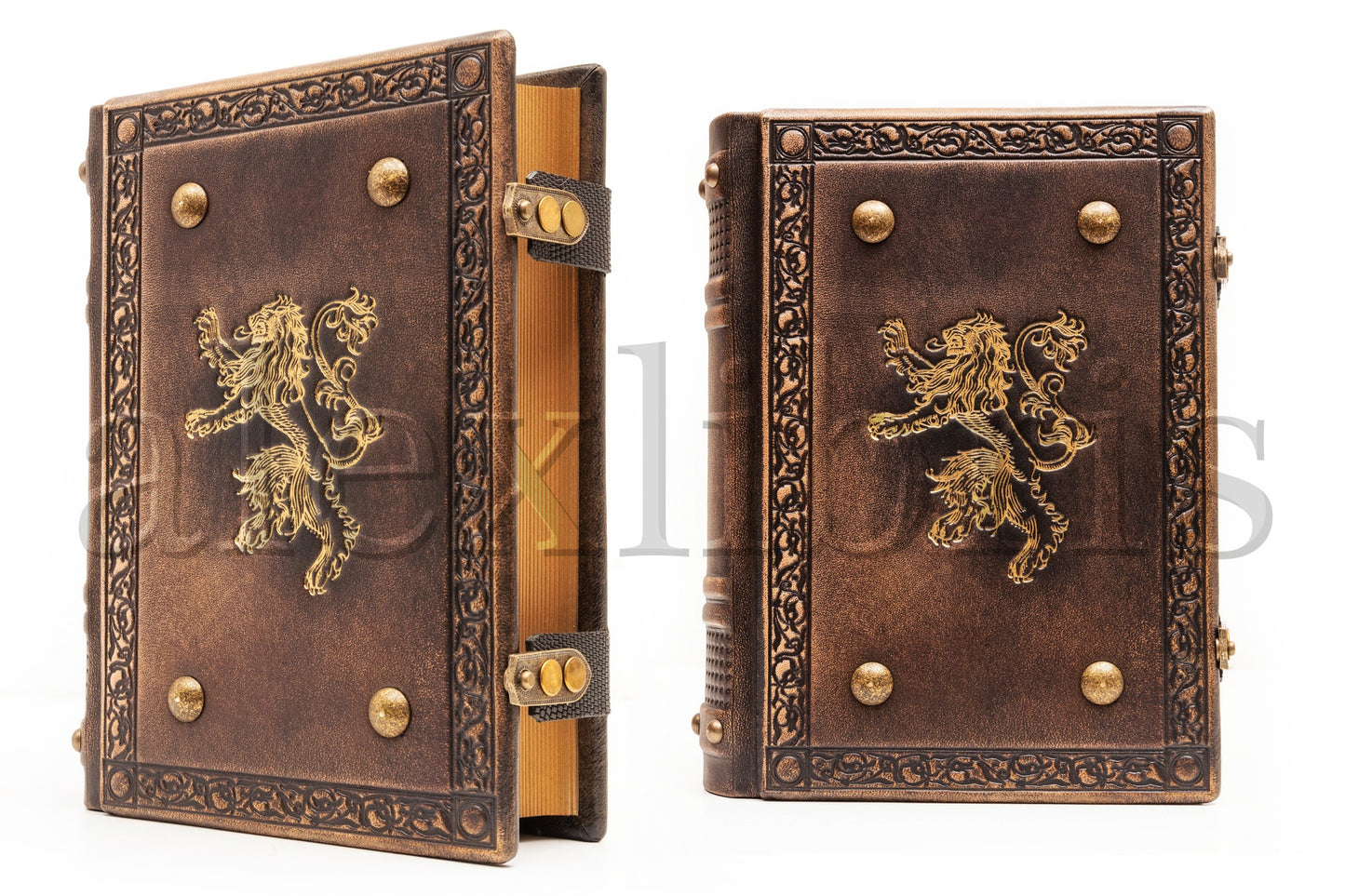 Lions Leather Journal: Large 7.5 x 10 Inches, 600 Blank Pages - Embark on a Royal Journey with this Heraldic Book, Perfect for Artists and Enthusiasts of Medieval Culture