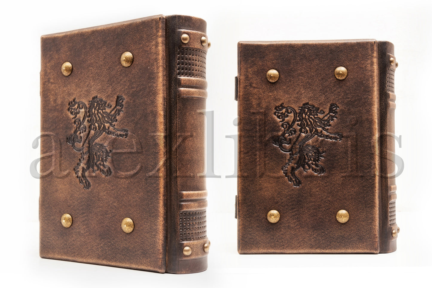 Lions Leather Journal: Large 7.5 x 10 Inches, 600 Blank Pages - Embark on a Royal Journey with this Heraldic Book, Perfect for Artists and Enthusiasts of Medieval Culture