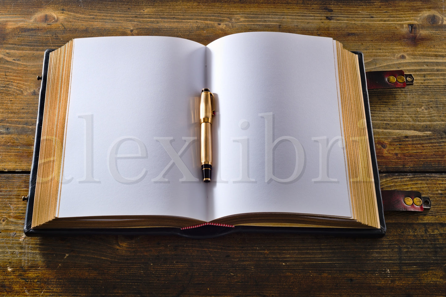 Medieval Leather Journal: Large 8 x 10 Inches, 600 Blank Pages - Delve into the Mystical World with this Enchanting Book of Shadows, Magical Journal, and Traveler Sketchbook