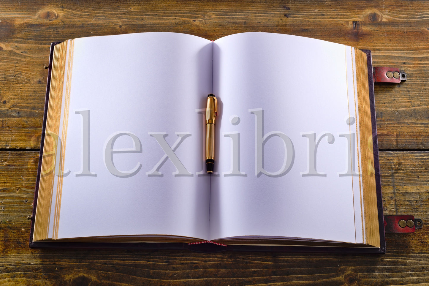 Hand of Fatima's Legacy: Large 10 x 13 Inches, 500 Blank Pages - Unleash Your Imagination and Embrace the Mystical Journey Within