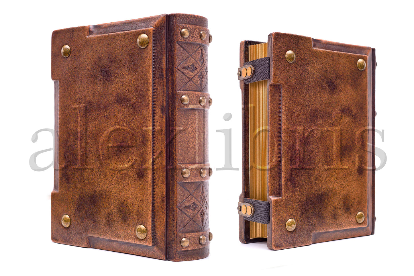 Skyrim Leather Journal: Large 8 x 10 Inches, 600 Blank Pages, Medieval Style - A Gamer's Handbook inspired by Skyrim and the Dark Brotherhood