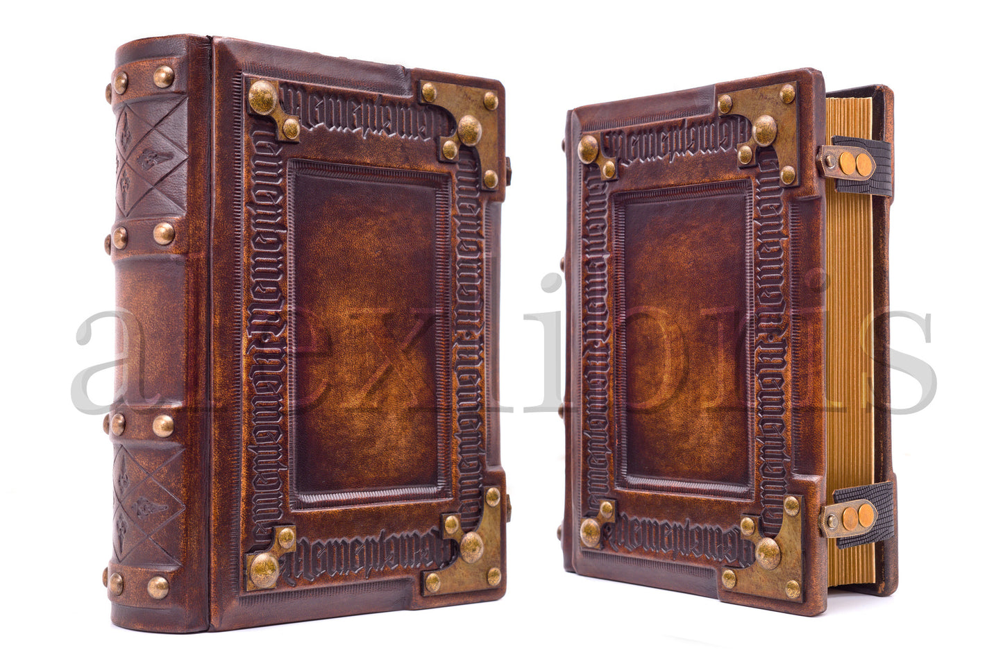 Memento Mori Leather Journal: Large 8 x 10 Inches, 600 Blank Pages - A Reminder of Life's Transience