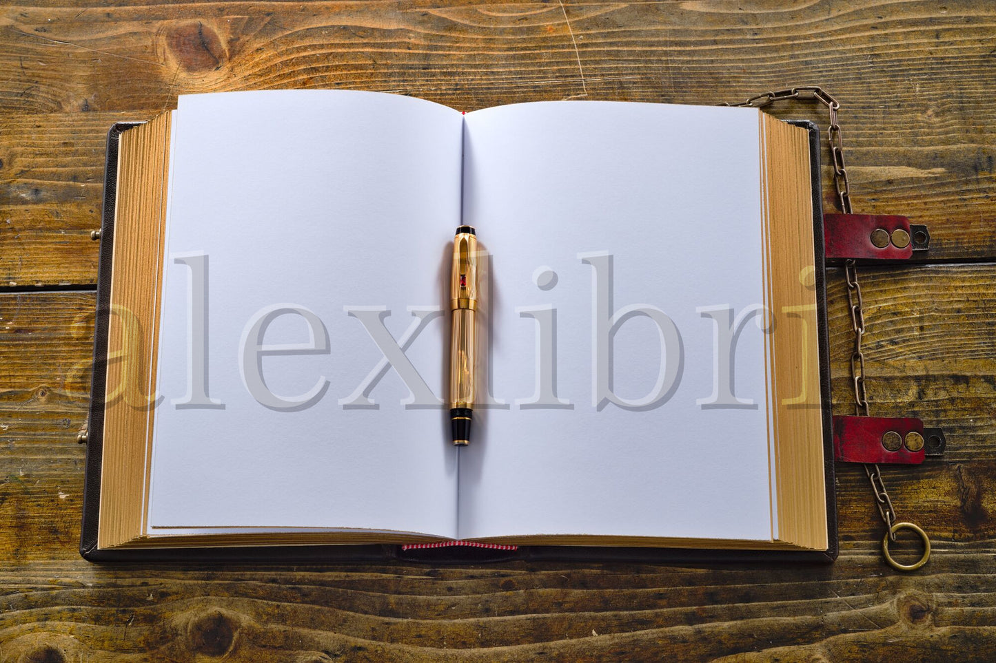 Anatomia: A Renaissance Masterpiece - Hand-Crafted Leather Sketchbook with Exquisite Rib Cage Detailing and Authentic Vintage Design