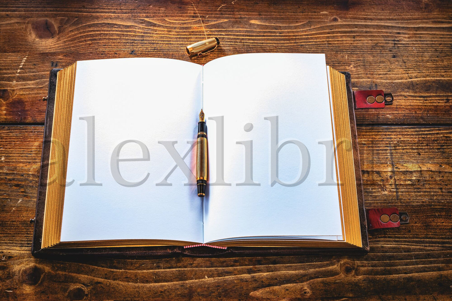 Tree of Life Leather Journal: Large 8 x 10 Inches, 600 Blank Pages, Medieval Style - A Pinnacle of Wisdom and Growth