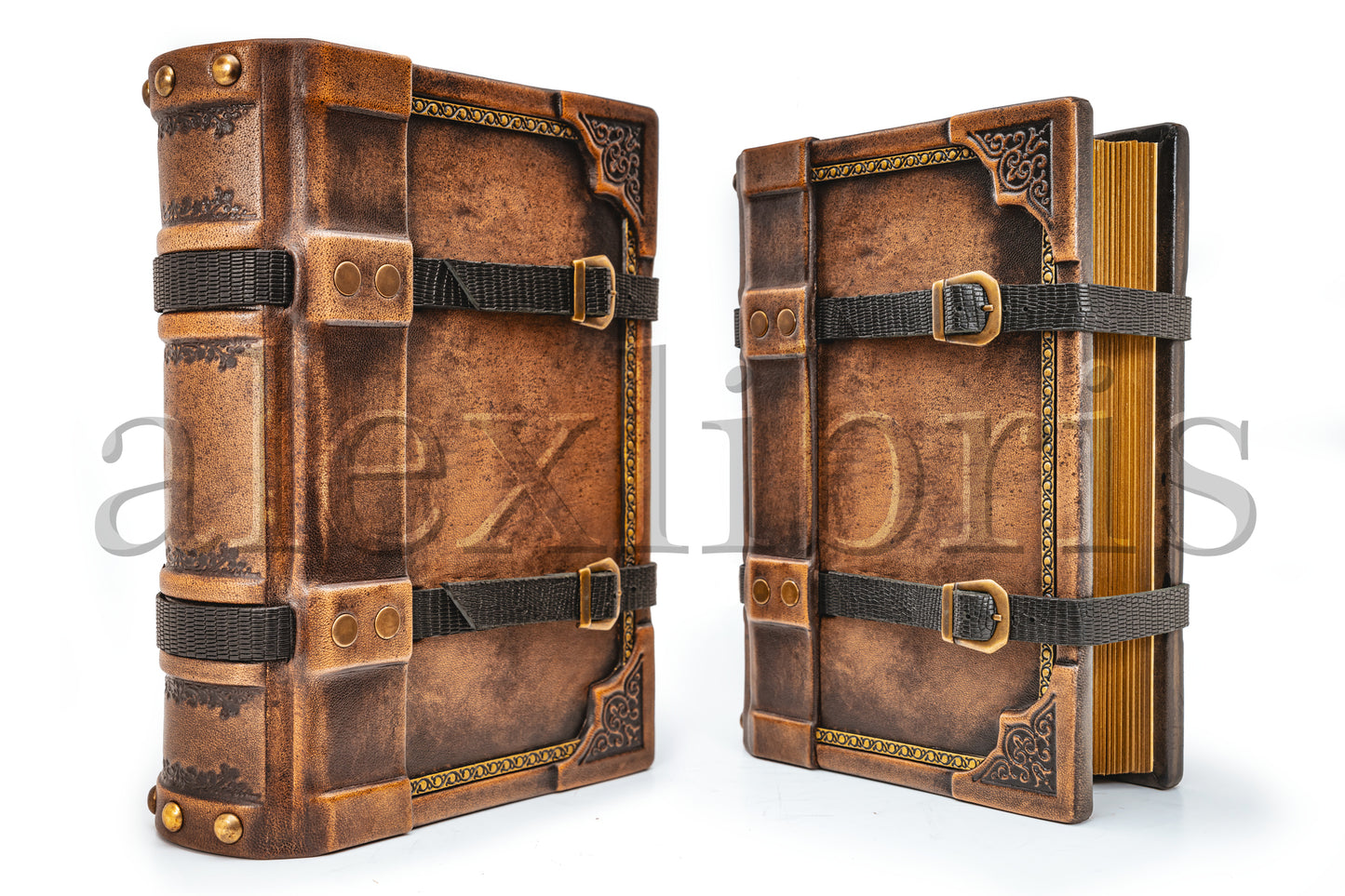 Belted Secrets: 8 x 10 Inches, 600 Blank Pages - Unveiling Mysteries with a Strap Closure