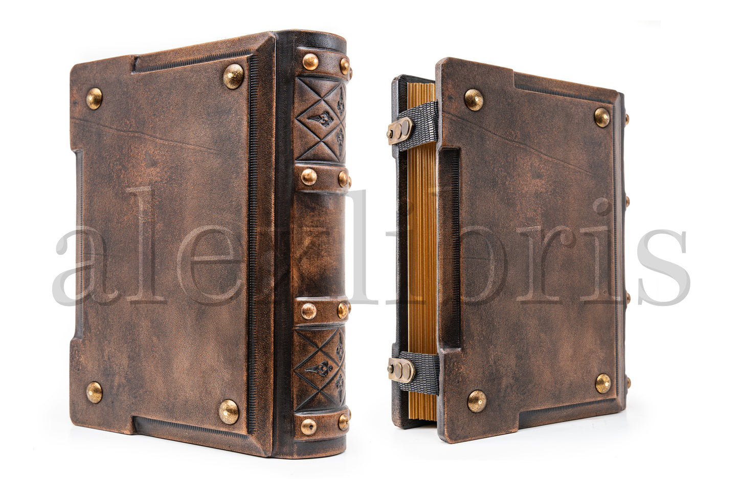 Tree of Life Leather Journal: Large 8 x 10 Inches, 600 Blank Pages, Medieval Style - A Pinnacle of Wisdom and Growth