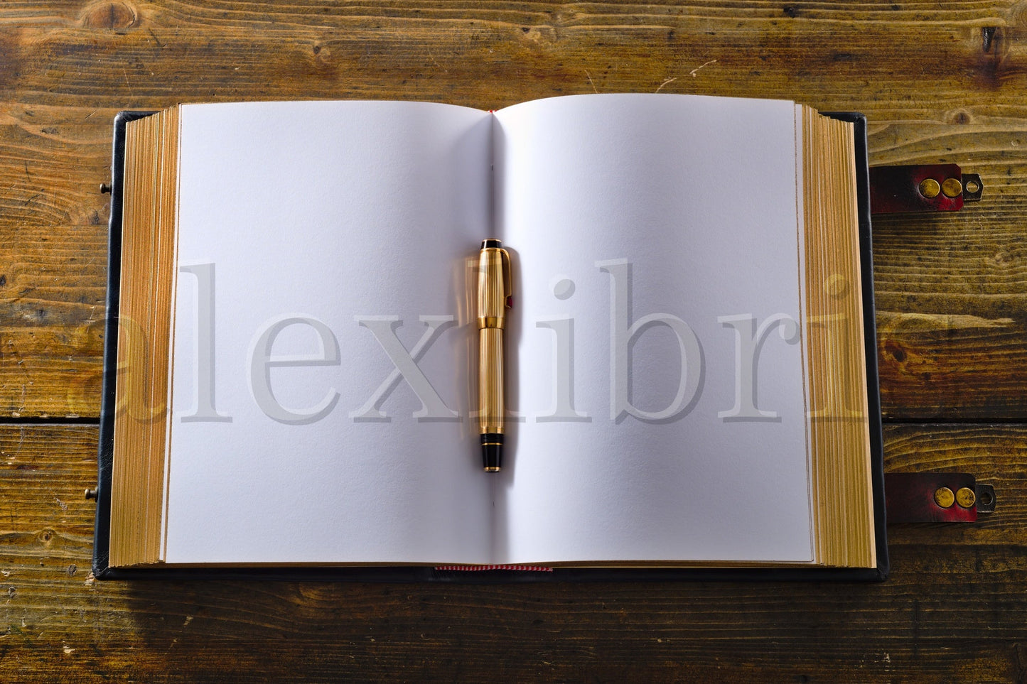 Memento Mori Leather Journal: Large 8 x 10 Inches, 600 Blank Pages - A Reminder of Life's Transience