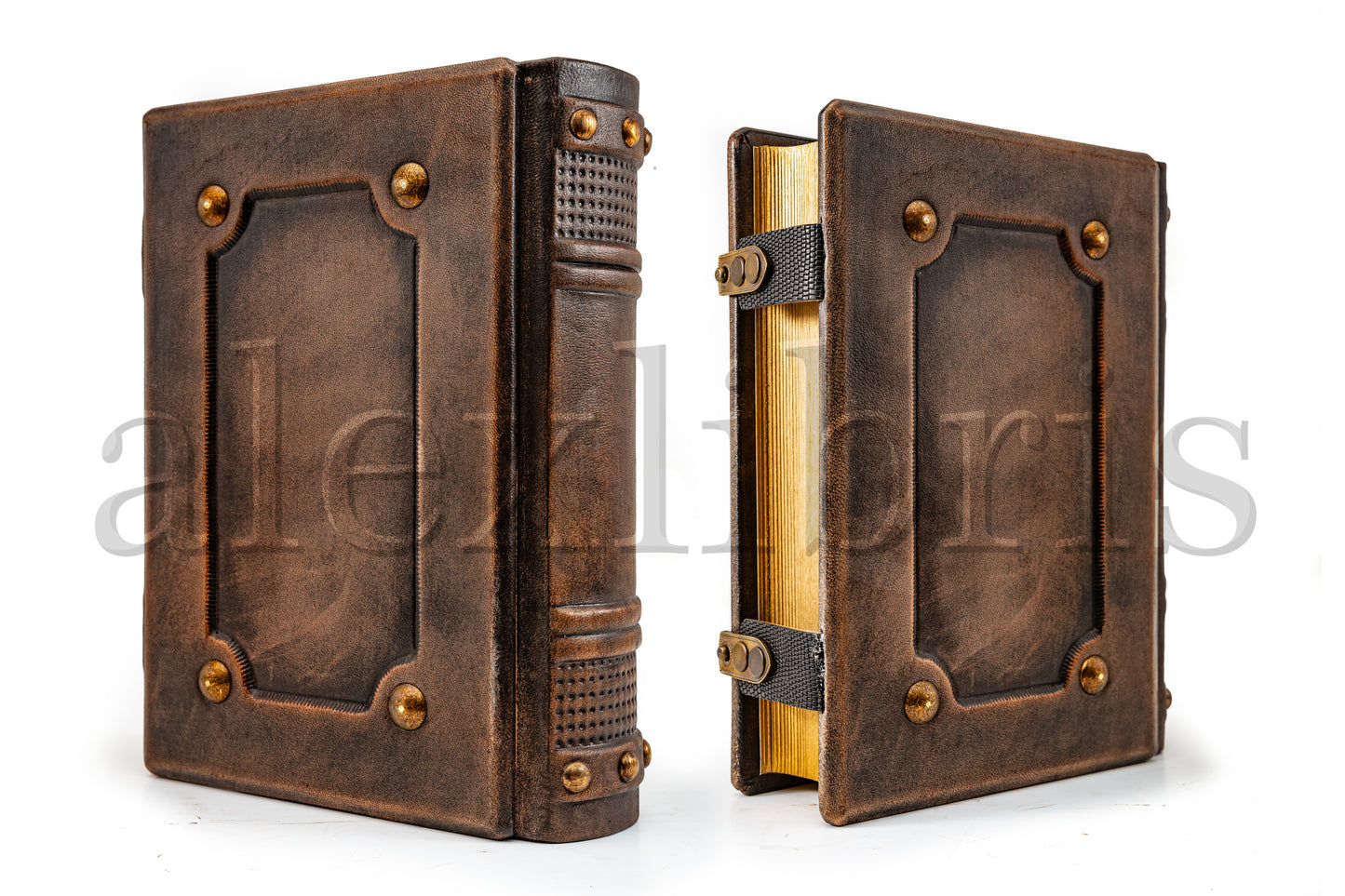 Caduceus Leather Journal: Large 7.5 x 10 Inches, 600 Blank Pages - Embrace the Eternal Cycle with this Antiqued Leather Journal