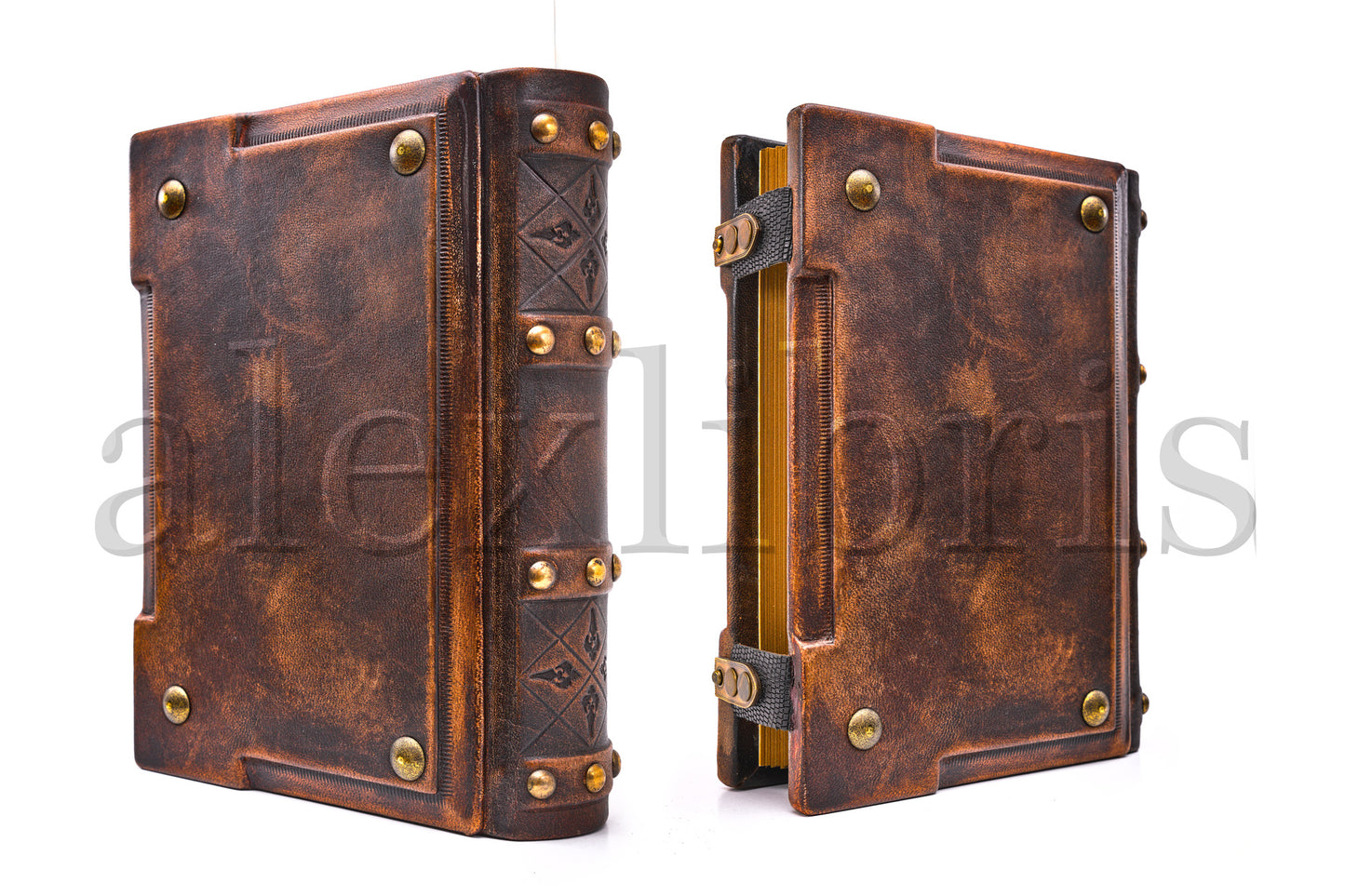 Tree of Life Leather Journal: Large 8 x 10 Inches, 500 Blank Pages, Medieval Style - A Pinnacle of Wisdom and Growth
