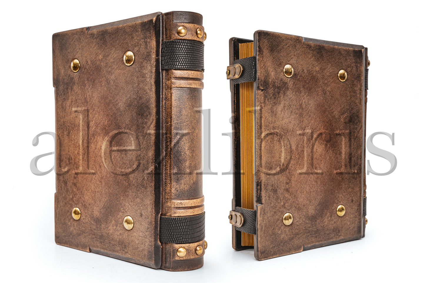 Elegant Medieval Leather Journal: Large 8 x 10 Inches, 500 Blank Pages - Journey into the Past, Perfect for Writing, Sketching, and Exploring the Secrets of Ancient Times