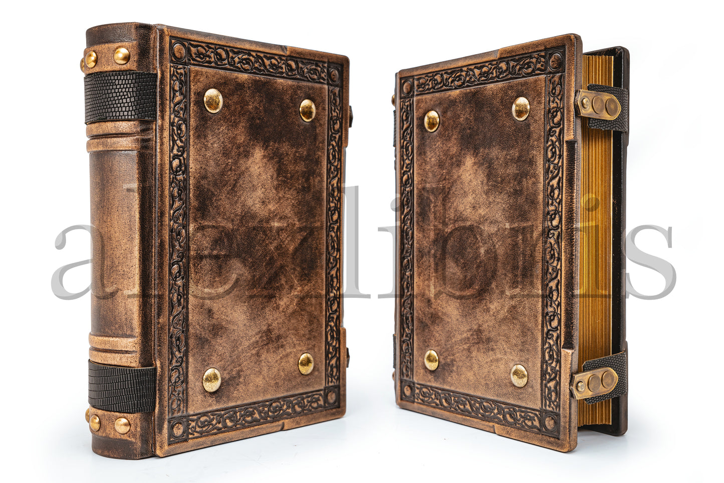 Elegant Medieval Leather Journal: Large 8 x 10 Inches, 500 Blank Pages - Journey into the Past, Perfect for Writing, Sketching, and Exploring the Secrets of Ancient Times