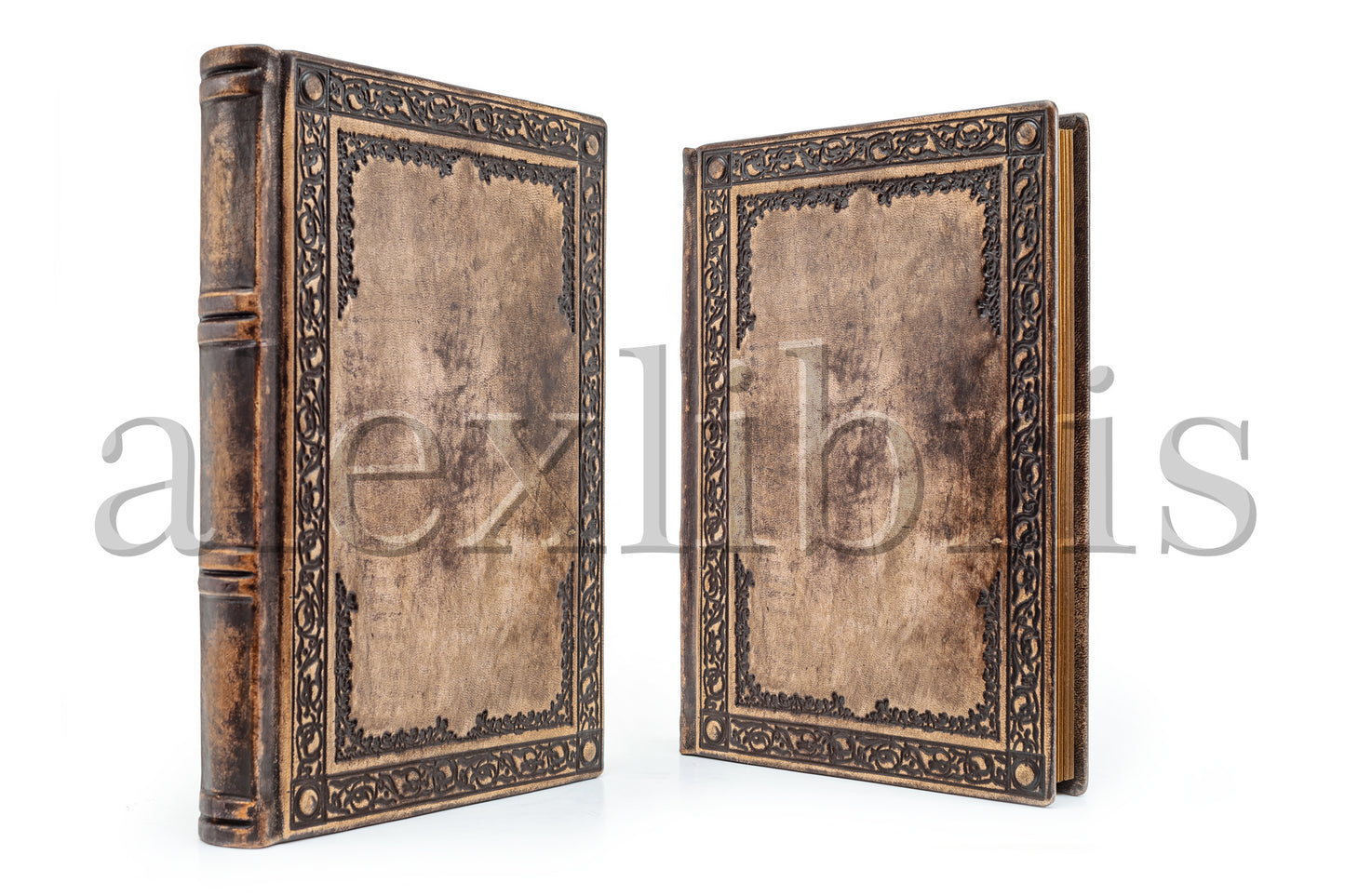 Elegant Leather Agenda: Large 8 x 10 Inches, 260 Blank Pages - Organize Your Days with Style and Elegance in this Antiqued Leather Journal