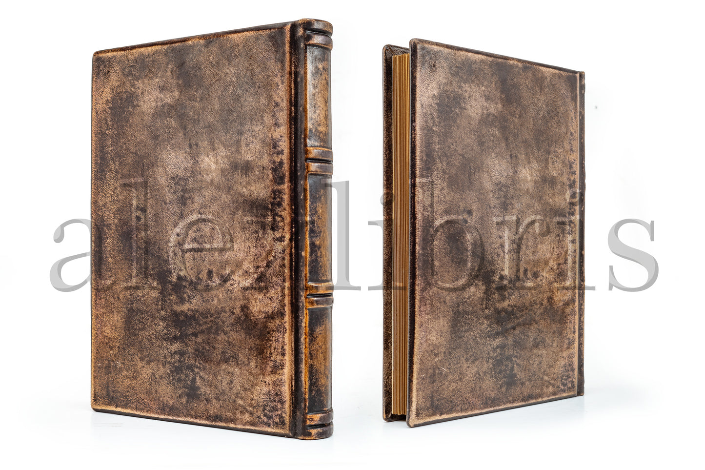 Elegant Leather Agenda: Large 8 x 10 Inches, 260 Blank Pages - Organize Your Days with Style and Elegance in this Antiqued Leather Journal