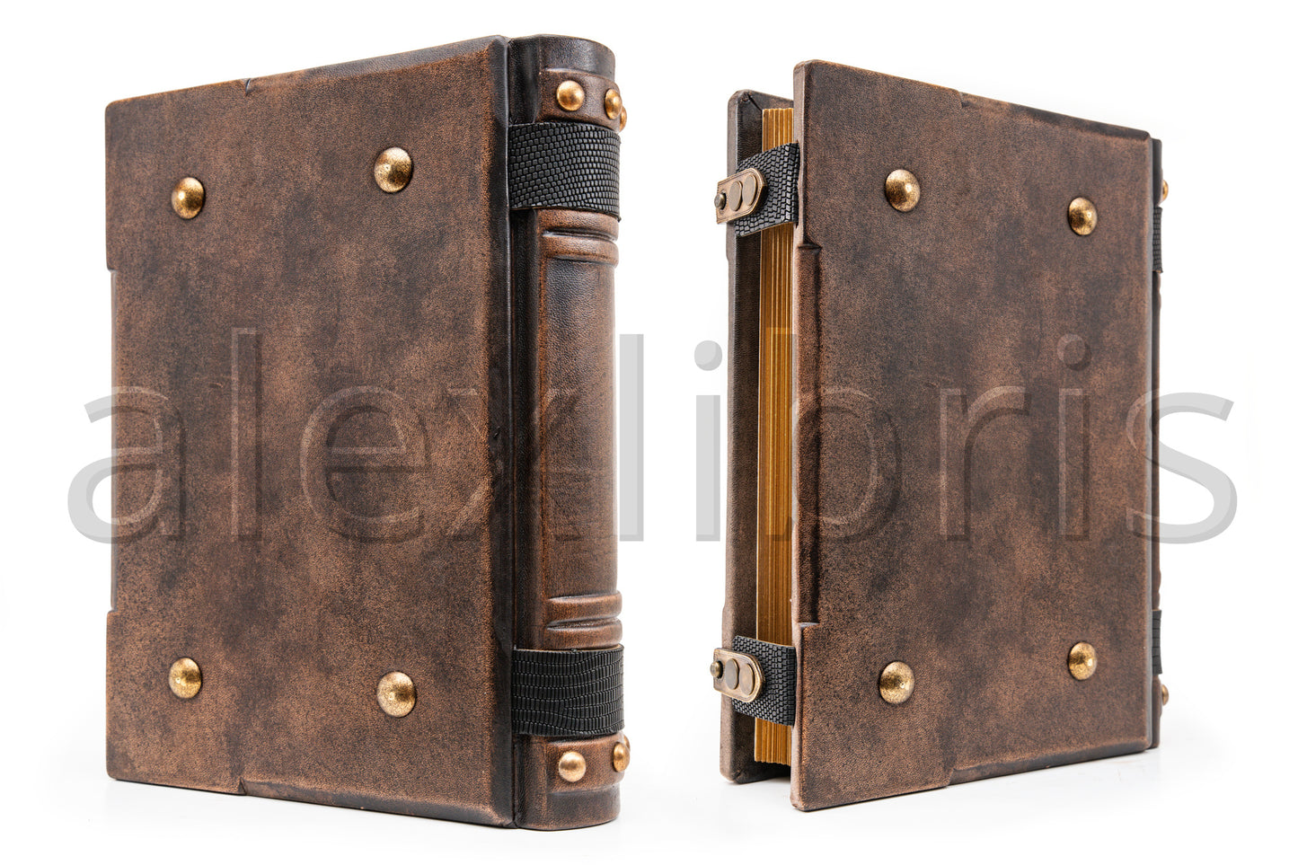 Ouroboros Leather Journal: Large 8 x 10 Inches, 500 Blank Pages - Embrace the Eternal Cycle with this Antiqued Leather Journal