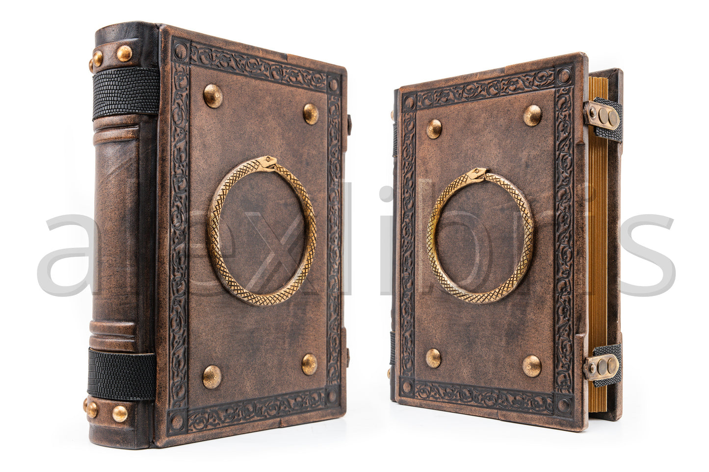 Ouroboros Leather Journal: Large 8 x 10 Inches, 500 Blank Pages - Embrace the Eternal Cycle with this Antiqued Leather Journal